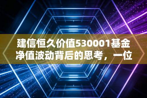 建信恒久价值530001基金净值波动背后的思考,一位老基民眼中的价值投资长跑