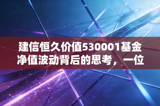 建信恒久价值530001基金净值波动背后的思考,一位老基民眼中的价值投资长跑