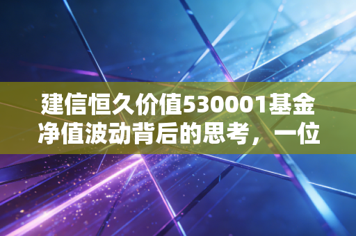 建信恒久价值530001基金净值波动背后的思考,一位老基民眼中的价值投资长跑