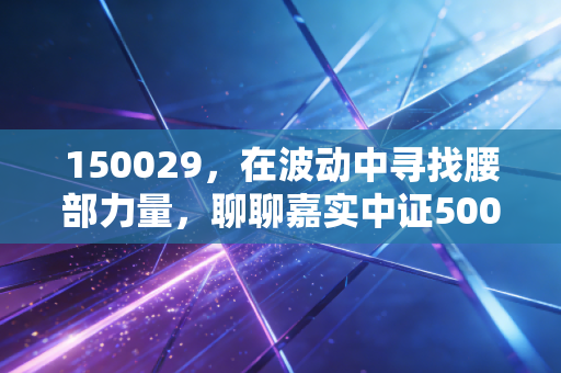 150029，在波动中寻找腰部力量，聊聊嘉实中证500ETF联接A的投资哲学