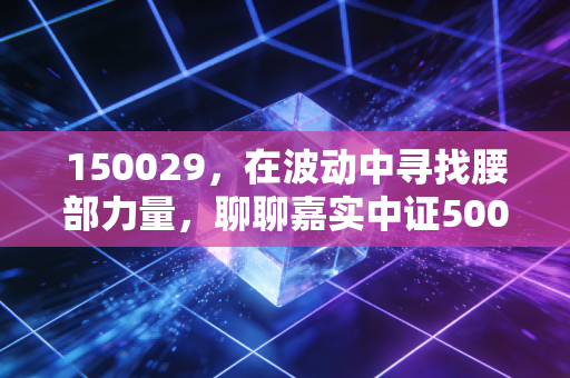 150029，在波动中寻找腰部力量，聊聊嘉实中证500ETF联接A的投资哲学
