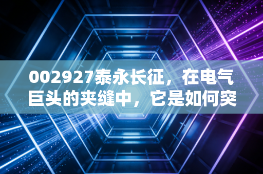 002927泰永长征，在电气巨头的夹缝中，它是如何突围的？