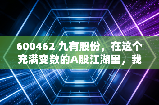 600462 九有股份，在这个充满变数的A股江湖里，我们该如何审视一家小而美还是小而乱的公司？