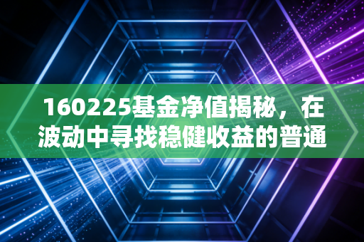 160225基金净值揭秘，在波动中寻找稳健收益的普通投资者生存指南