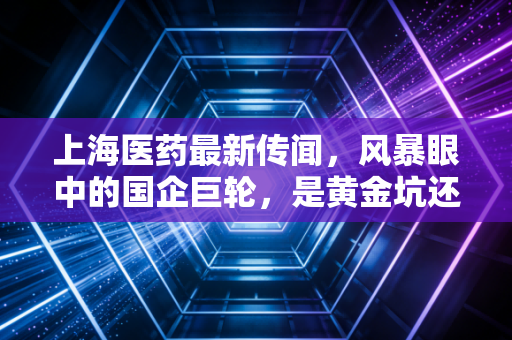 上海医药最新传闻，风暴眼中的国企巨轮，是黄金坑还是避雷针？