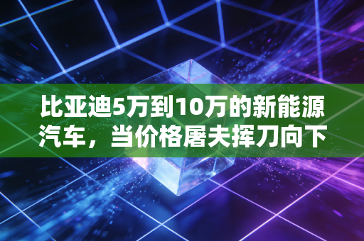 比亚迪5万到10万的新能源汽车，当价格屠夫挥刀向下，普通人的幸福指数真的提高了吗？