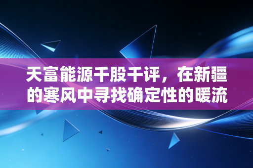 天富能源千股千评，在新疆的寒风中寻找确定性的暖流，这只公用事业股能否穿越周期？
