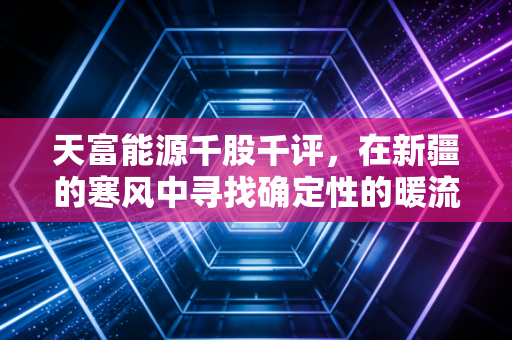 天富能源千股千评，在新疆的寒风中寻找确定性的暖流，这只公用事业股能否穿越周期？
