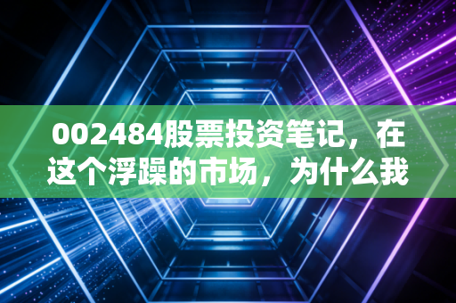 002484股票投资笔记，在这个浮躁的市场，为什么我依然看好这只隐形冠军？