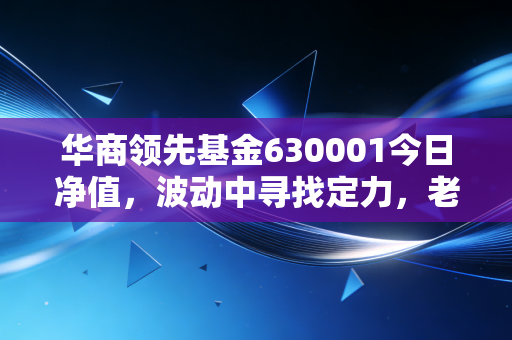 华商领先基金630001今日净值，波动中寻找定力，老牌基金的过山车还能坐吗？