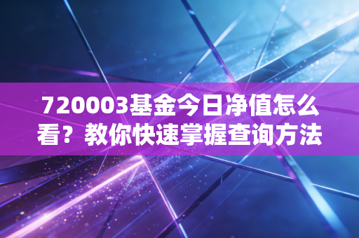 720003基金今日净值怎么看？教你快速掌握查询方法！