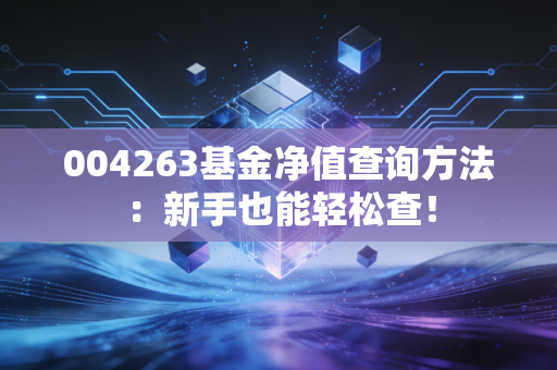 004263基金净值查询方法：新手也能轻松查！