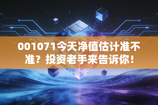 001071今天净值估计准不准?投资老手来告诉你!