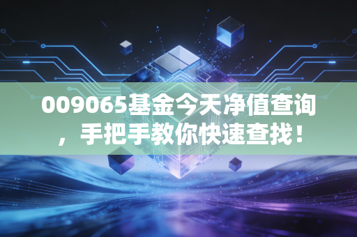 009065基金今天净值查询，手把手教你快速查找！