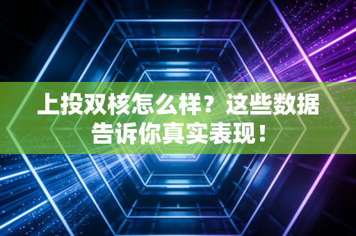 上投双核怎么样？这些数据告诉你真实表现！