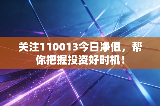 关注110013今日净值，帮你把握投资好时机！