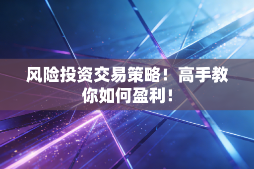 风险投资交易策略！高手教你如何盈利！