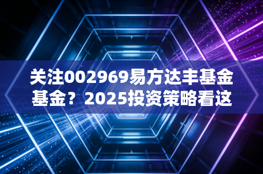 关注002969易方达丰基金基金？2025投资策略看这里！