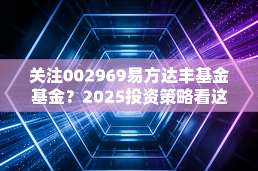关注002969易方达丰基金基金？2025投资策略看这里！