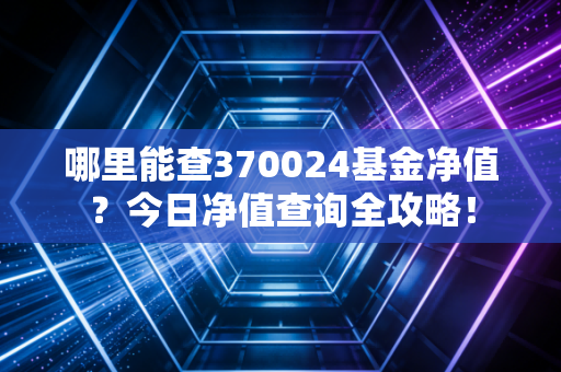 哪里能查370024基金净值？今日净值查询全攻略！