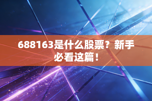 688163是什么股票？新手必看这篇！