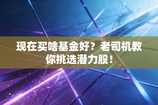 现在买啥基金好？老司机教你挑选潜力股！