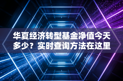 华夏经济转型基金净值今天多少？实时查询方法在这里！