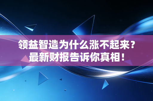 领益智造为什么涨不起来？最新财报告诉你真相！