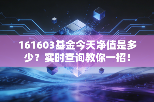 161603基金今天净值是多少？实时查询教你一招！