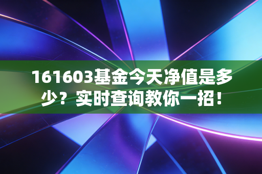 161603基金今天净值是多少？实时查询教你一招！