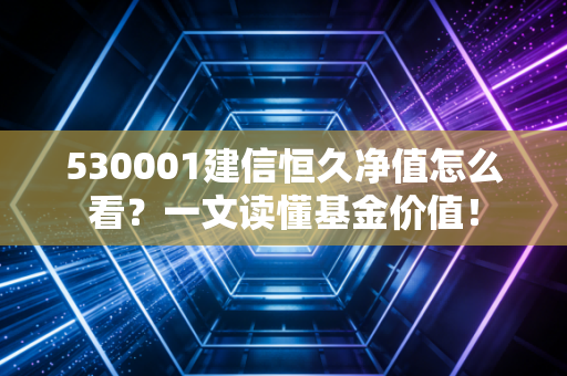 530001建信恒久净值怎么看？一文读懂基金价值！