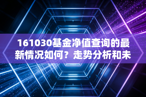 161030基金净值查询的最新情况如何？走势分析和未来预测