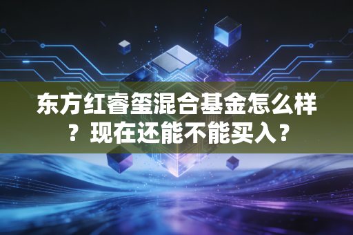 东方红睿玺混合基金怎么样？现在还能不能买入？