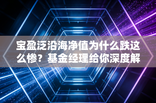 宝盈泛沿海净值为什么跌这么惨？基金经理给你深度解读原因！