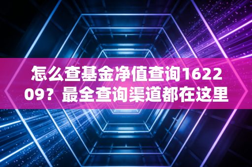 怎么查基金净值查询162209？最全查询渠道都在这里