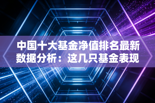 中国十大基金净值排名最新数据分析：这几只基金表现突出！