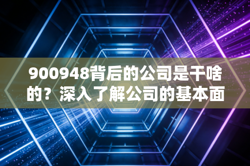 900948背后的公司是干啥的？深入了解公司的基本面
