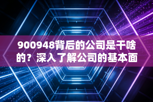 900948背后的公司是干啥的？深入了解公司的基本面