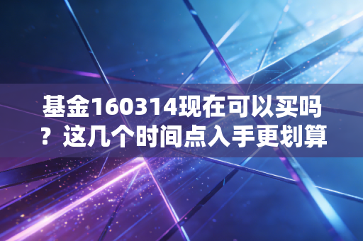 基金160314现在可以买吗？这几个时间点入手更划算