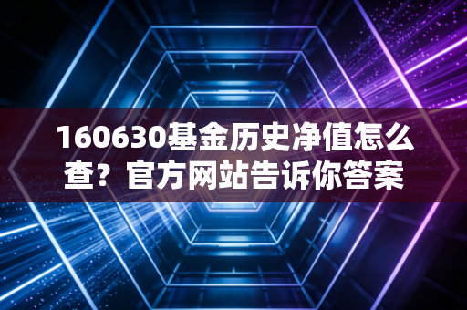 160630基金历史净值怎么查？官方网站告诉你答案