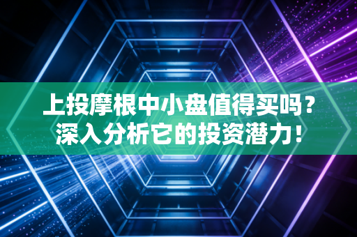 上投摩根中小盘值得买吗？深入分析它的投资潜力！