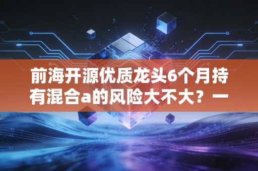 前海开源优质龙头6个月持有混合a的风险大不大？一文读懂