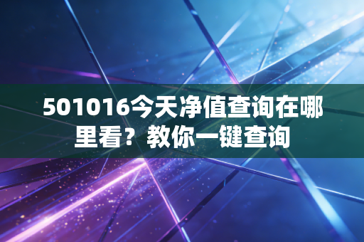 501016今天净值查询在哪里看?教你一键查询