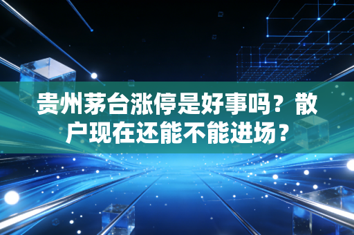 贵州茅台涨停是好事吗？散户现在还能不能进场？