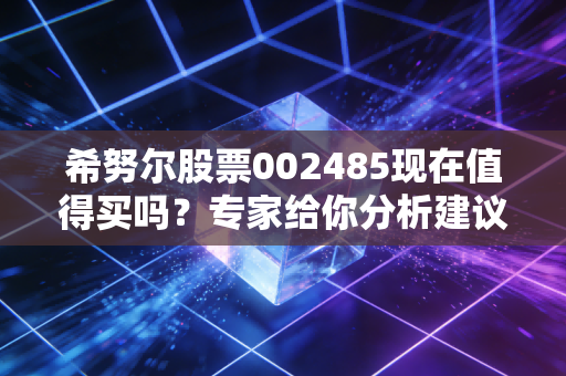 希努尔股票002485现在值得买吗？专家给你分析建议