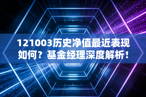 121003历史净值最近表现如何？基金经理深度解析！