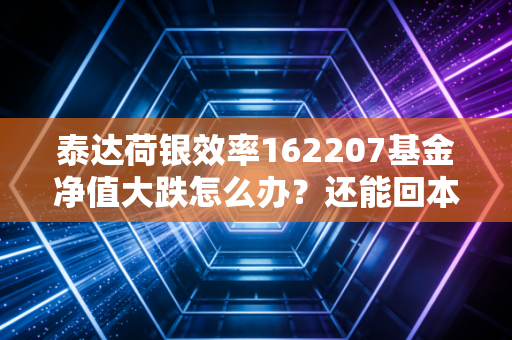 泰达荷银效率162207基金净值大跌怎么办？还能回本吗？