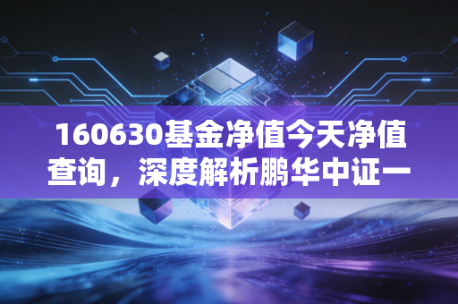 160630基金净值今天净值查询，深度解析鹏华中证一带一路基金的波动与坚守，聊聊我们该如何面对过山车行情
