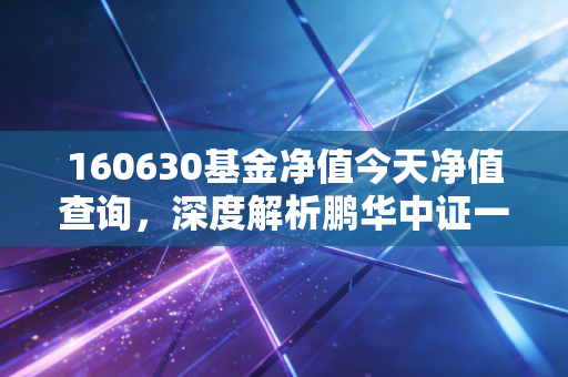 160630基金净值今天净值查询，深度解析鹏华中证一带一路基金的波动与坚守，聊聊我们该如何面对过山车行情
