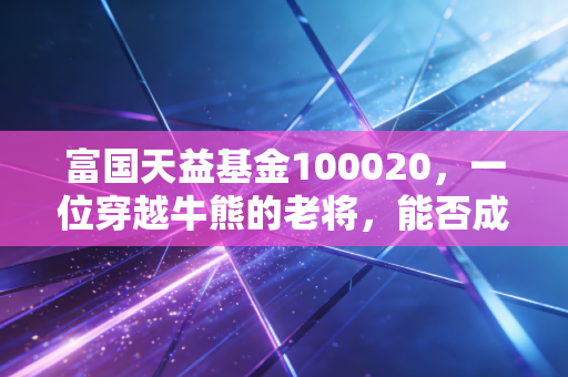 富国天益基金100020，一位穿越牛熊的老将，能否成为你资产配置中的压舱石？
